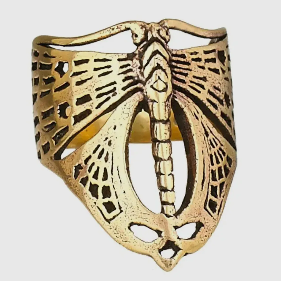 Dragonfly Embrace Ring in Bronze